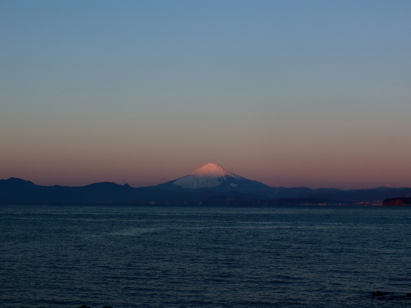 霧の森
